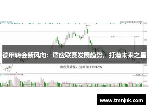 德甲转会新风向：适应联赛发展趋势，打造未来之星