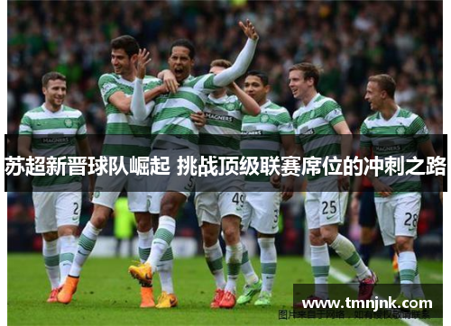 苏超新晋球队崛起 挑战顶级联赛席位的冲刺之路
